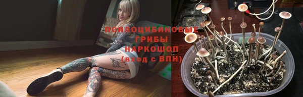 гашик Абаза