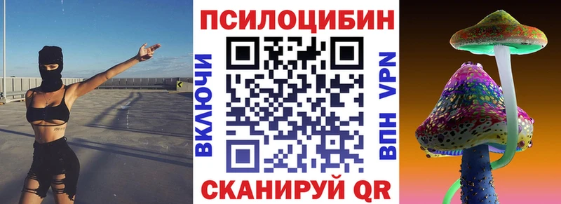 Псилоцибиновые грибы Psilocybe  Сорск 